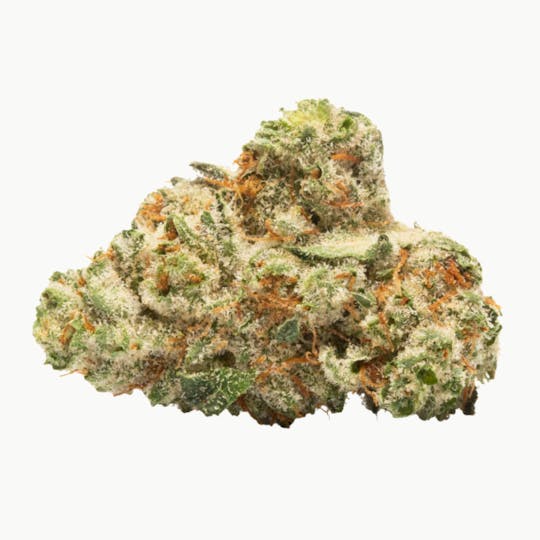 LightSky Farms - Road Kill OG - 1