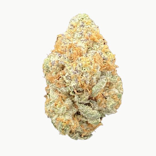 LightSky Farms - Sherb Cream Pie - 1