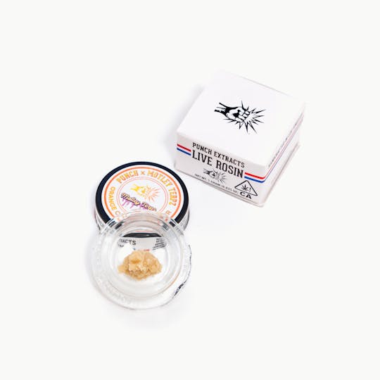Punch Edibles & Extracts - Orange Cookies Tier 4 Live Rosin Cold Cure Badder (1g) - 1
