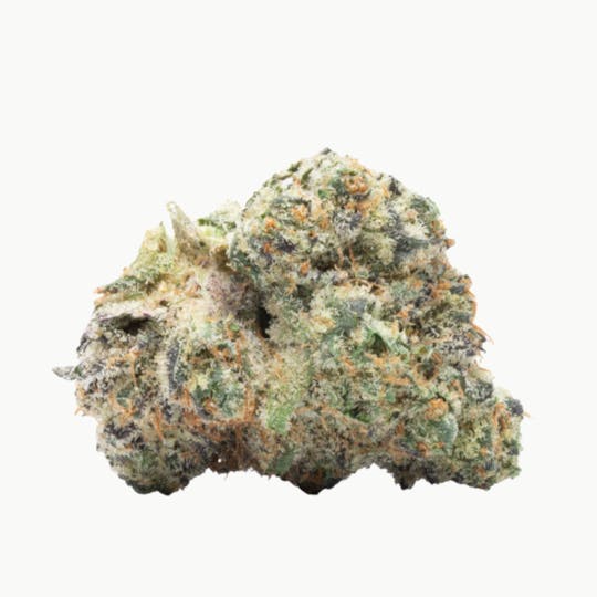 LightSky Farms - Sunkizt #17 - 1