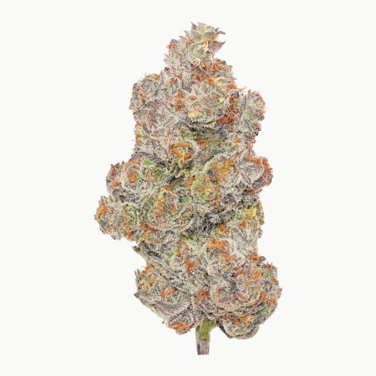 Enlighten - Molotov Cocktail Deli Flower - 1