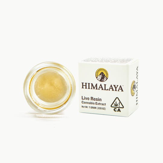 HIMALAYA - Apple Gravity (Live Resin Concentrate) - 1G - 1