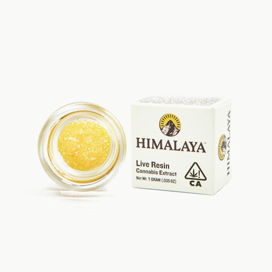 HIMALAYA - Log Cabin (Live Resin Concentrate) - 1G - 1