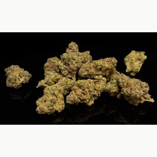 Platinum Farms - Flower - Glitter Bomb (16.91%) - Bigs - 1