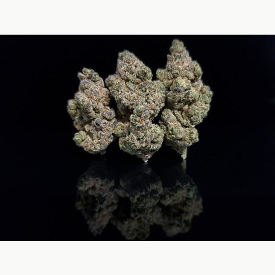 Platinum Farms - Flower - Glitter Bomb (19.60%) - Bigs - 1