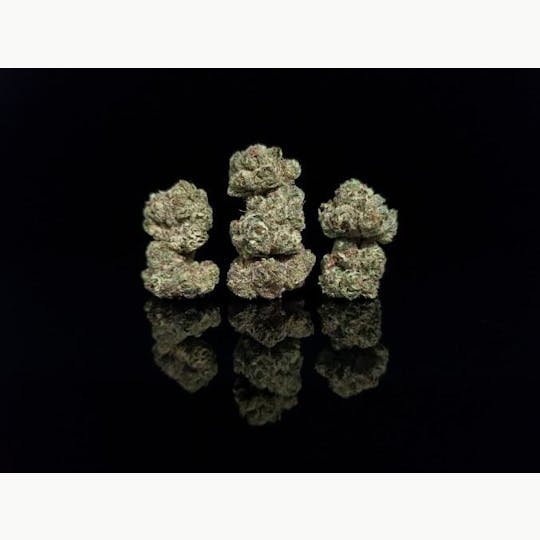 Platinum Farms - Flower - Grease Monkey (15.58%) - Smalls - 1