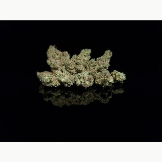Platinum Farms - Flower - Papaya Pound Cake (14.38%) - Smalls - 1
