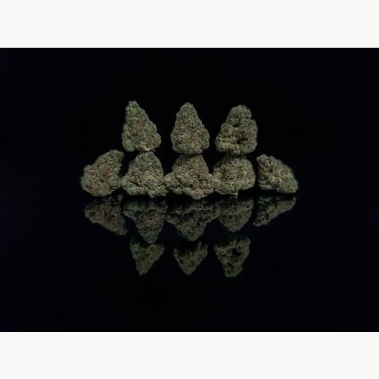 Platinum Farms - Flower - Slurricrasher (18.88%) - Popcorn - 1