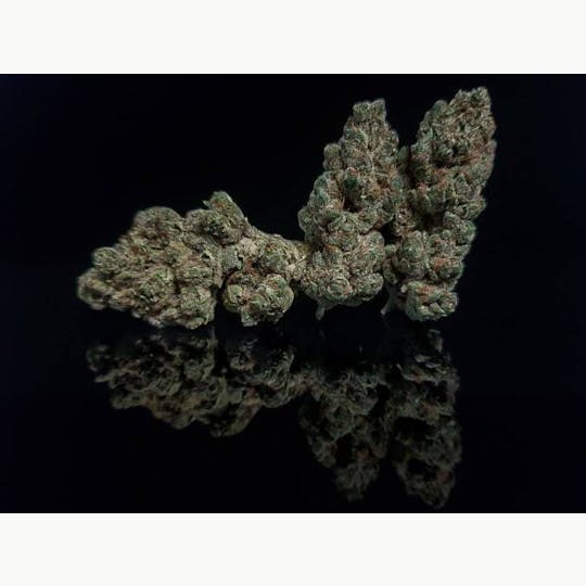 Platinum Farms - Flower - Sun MAC (19.54%) - Bigs - 1