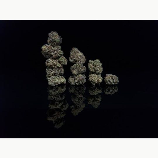 Platinum Farms - Flower - Sun MAC (19.54%) - Popcorn - 1