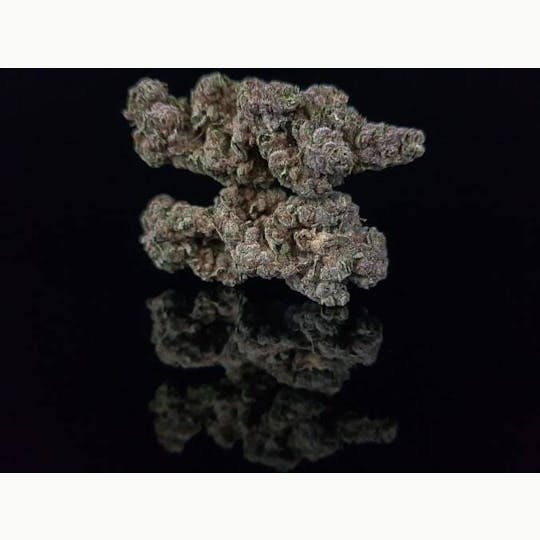 Platinum Farms - Flower - Triangle Kush (16.19%) - Bigs - 1