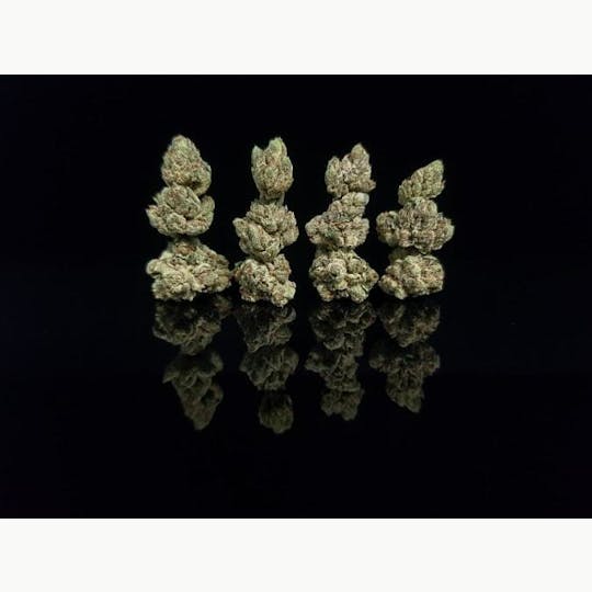 Platinum Farms - Flower - Triangle Kush (19.42%) - Popcorn - 1