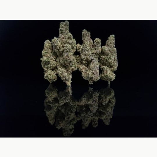 Platinum Farms - Flower - Triangle Kush (21.75%) - Bigs - 1