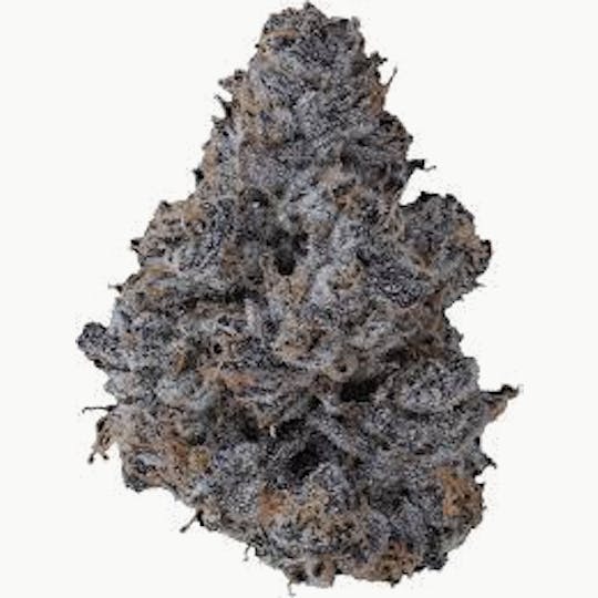 Cannafeen - WICKED RUNTZ - 1
