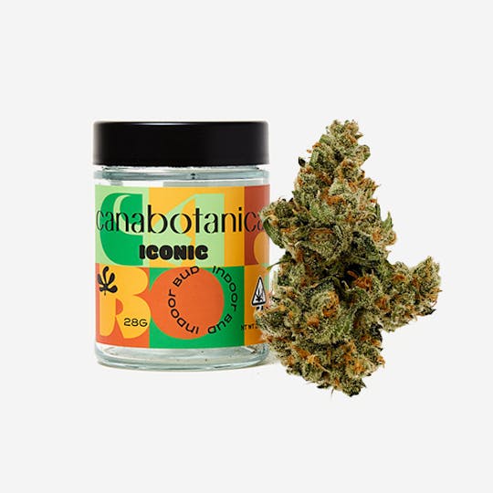 Canabotanica - Jack Herer - 28g - Indoor Flower - 1