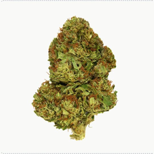 Smoakland - Exclusive - Gelato (H) - 28g - 1