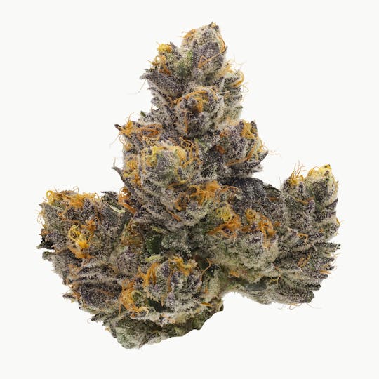Fig Farms - Couch Rider - 1
