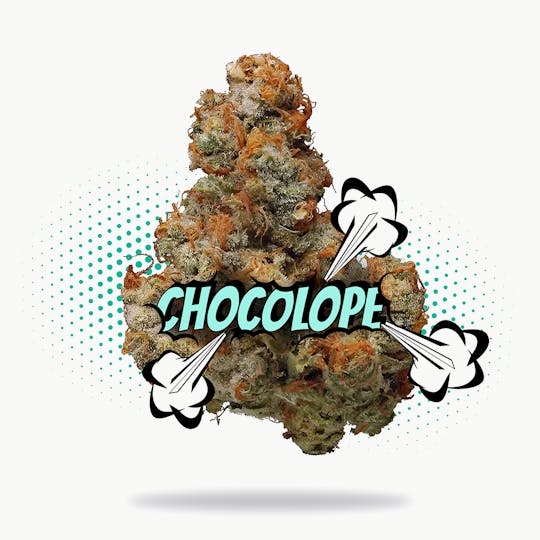 Frostiez - Chocolope - Topshelf Indoor - New Drop - Sativa - 1