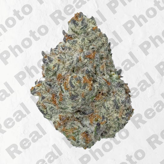 Frostiez - Ice Cream - Topshelf Indoor - New Drop - Hybrid - 1