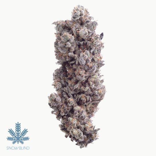 Snowblind Cannabis - Gravy Jar - 1