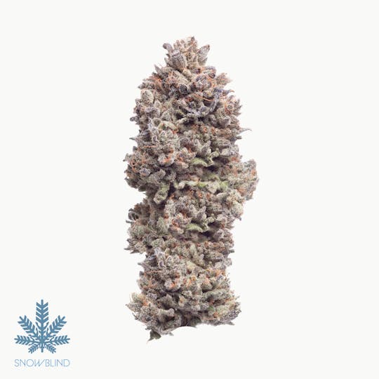 Snowblind Cannabis - Puppy Love - 1