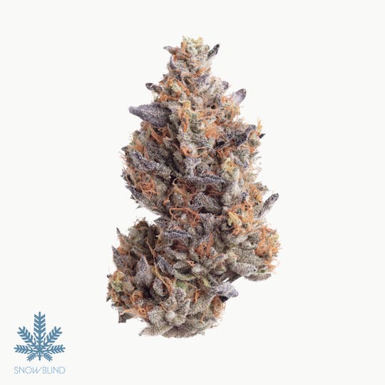 Snowblind Cannabis - Khalifa Kush - 1