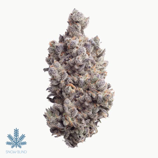 Snowblind Cannabis - Freak - 1