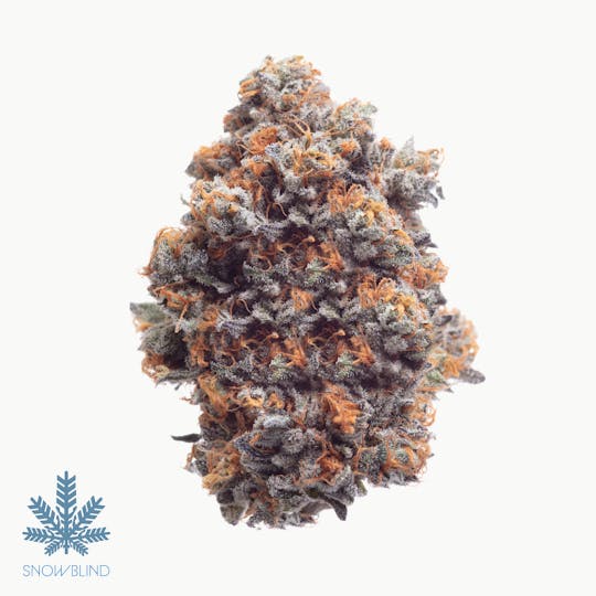 Snowblind Cannabis - Geloz - 1