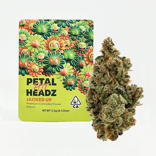 Petal Pot Headz - Jacked Up - 3.5g - Indoor Flower - 1