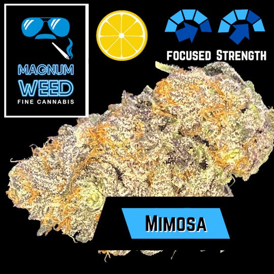Magnum Weed - Magnum Mimosa - 1