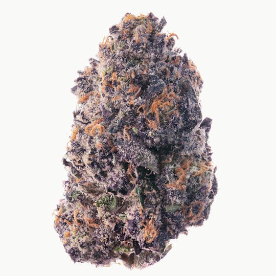 Za - Michelle OZAma Sorbetto Flower 7g - 1