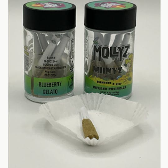 Mollyz - MOLLYZ | INFUSED MIINYZ 7PK - BLUEBERRY GELATO 3.5G - 1