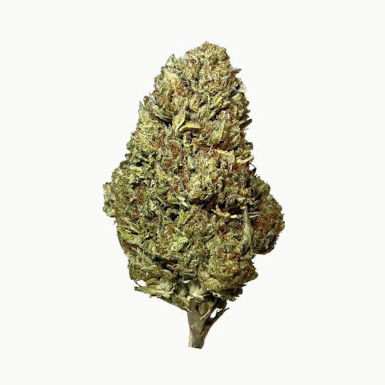 Smoakland - Xclusivez - Gelato (I) - 28g - 1