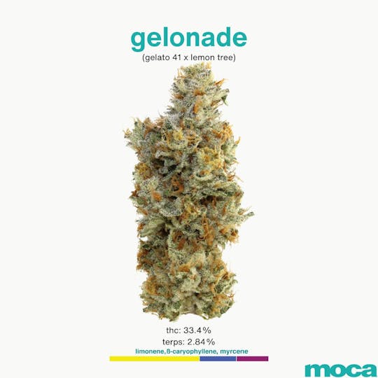 MOCA Humboldt - MOCA Flowers - 1/8th Jar - Gelonade - 1