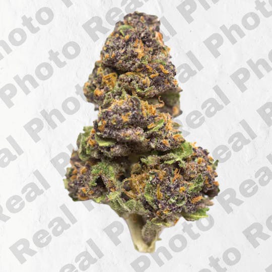 Frostiez - Black Cherry Gelato - NEW DROP - PREMIUM FLOWER - Hybrid - 1