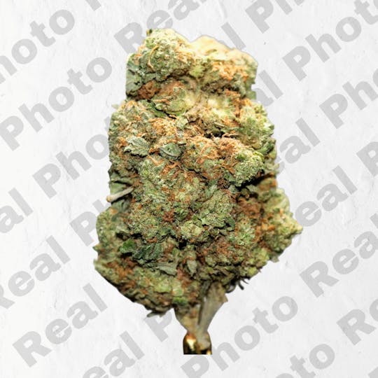 Frostiez - White Runtz - NEW DROP - PREMIUM FLOWER - Hybrid - 1