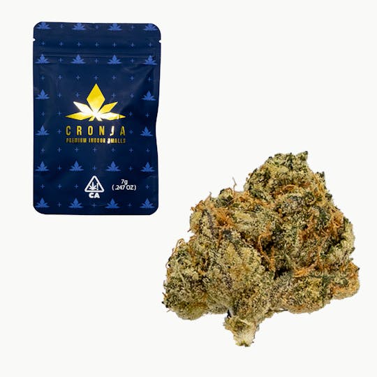 CRONJA - CRONJA - Z OG (7G) Indoor - 1