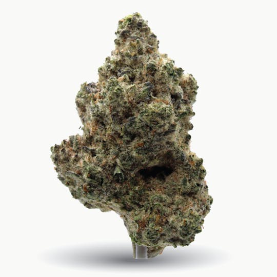 Gas Station Cultivation - Jerry Juice Flower - 1