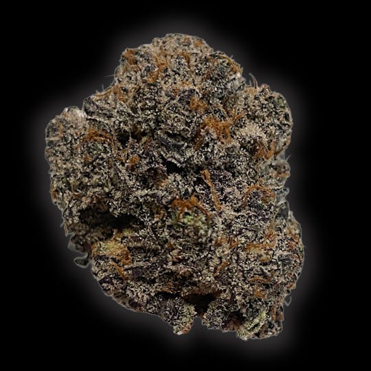 Auraz - Caleta Flower | Pink Guava - 1