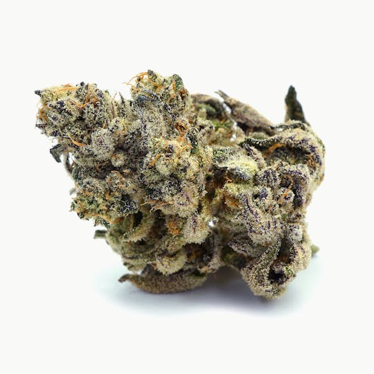 High Tide Organics - Saint Laurent Small Buds | Indoor 14g - 1