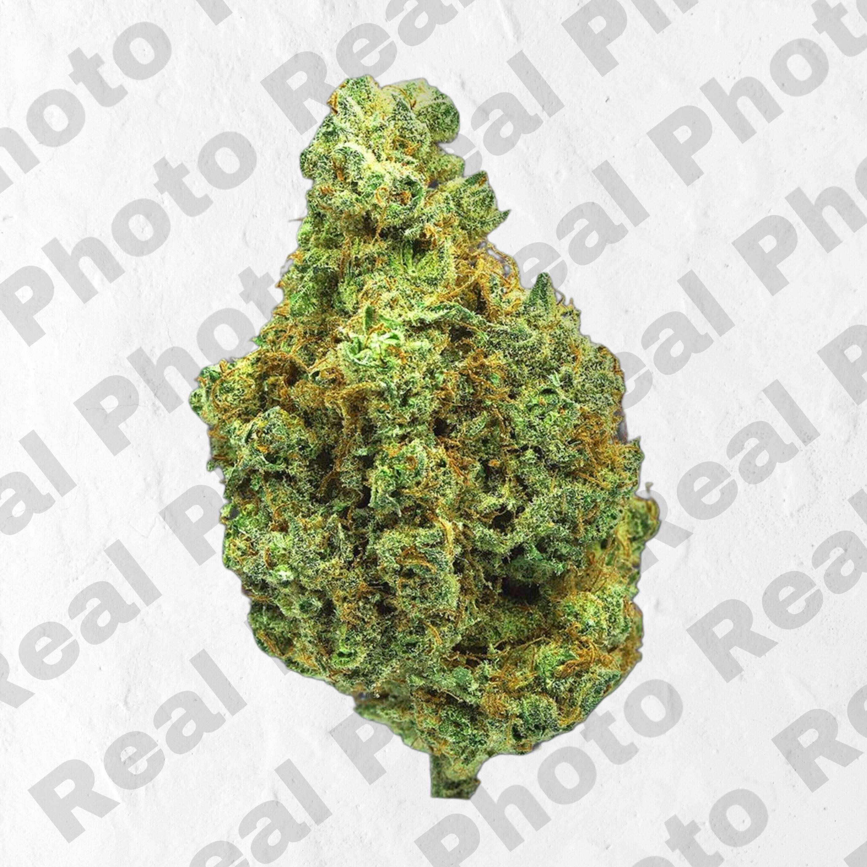 Frostiez - Blueberry Sugar - NEW DROP - PREMIUM FLOWER - Indica - 1
