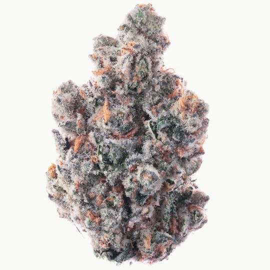 Quality Over Quantity - Alien Orange Cookies Flower 14g - 1