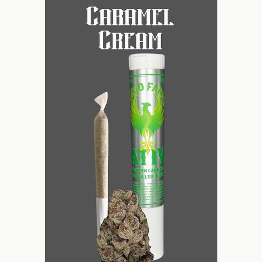 Fuego Farms - Fuego Farms 1/2-gram Pre-Roll - Caramel Cream - 1