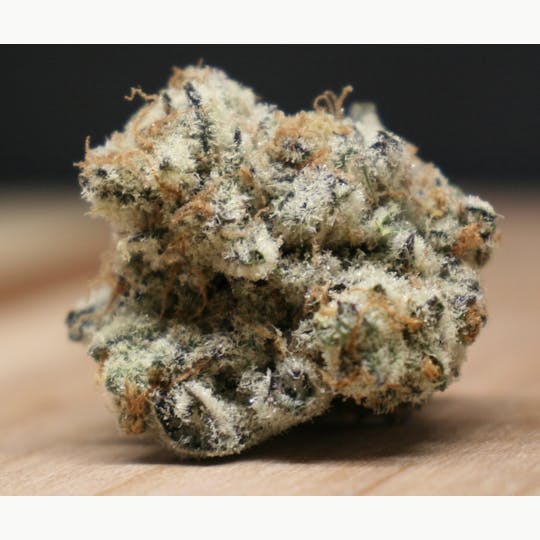 The Frost Factory - Cobra Kai - 1