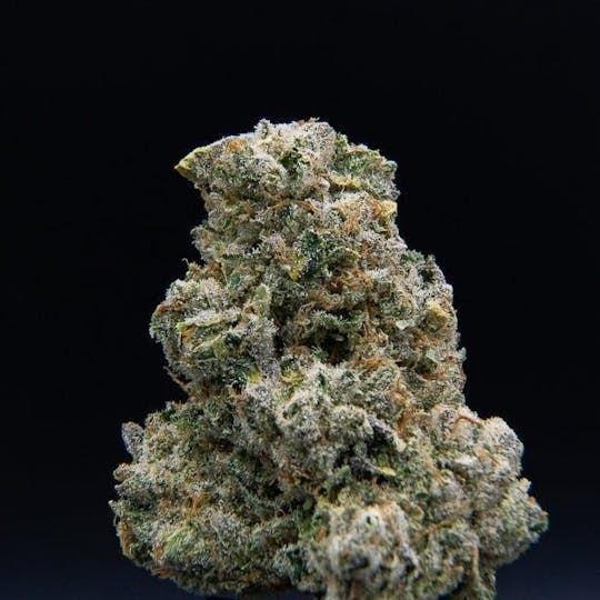 East Coast Cannabis - Cranebow City - 1
