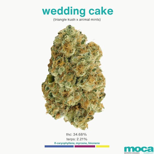 MOCA Humboldt - MOCA Flowers - 1/8th Jar - Wedding Cake - 1