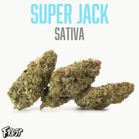 Frost - Super Jack (Sativa) - 1