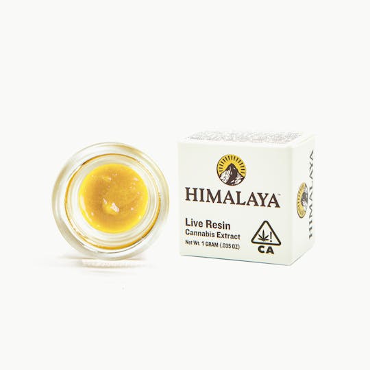 HIMALAYA - Knights Templar (Live Resin Concentrate) - 1G - 1