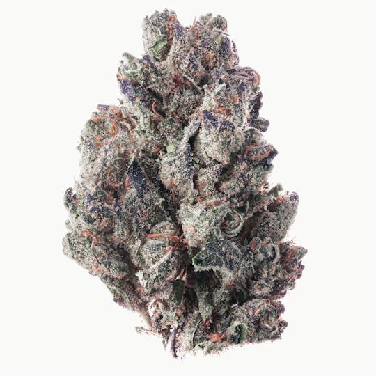 Hype Train - Modified Sunset Flower 14g - 1