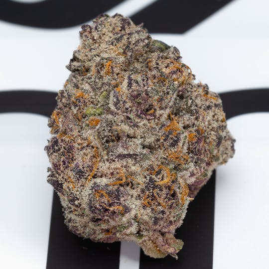 OG Sinsemilla - Sour Cherry Splash (1G) - 1